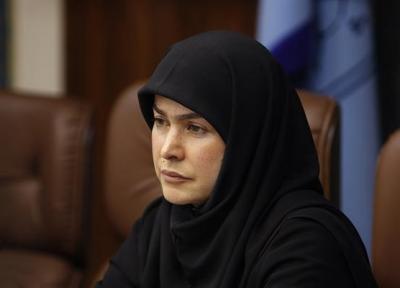 قانون حمایت از هنرمندان و فعالان صنایع دستی یک قانون طلایی است