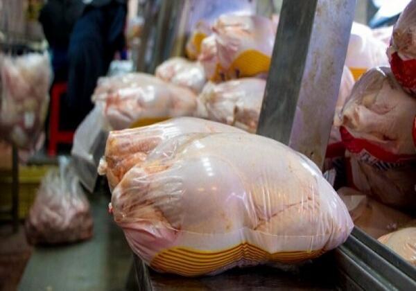 تفاوت قیمت مرغ در بازار با قیمت مصوب ، مرغ مقرون به صرفه کجا فروخته می گردد؟