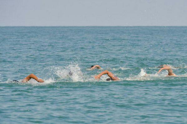 مسابقات شنای آب های آزاد در جزیره کیش شروع شد