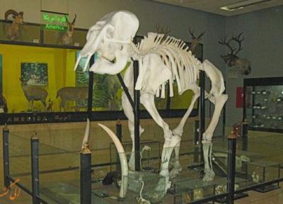 امروز فرصتی برای بازدید رایگان از موزه تنوع زیستی پردیسان!
