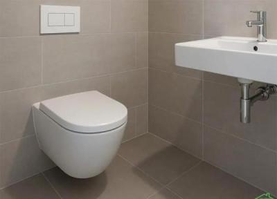 راهنمای انتخاب برترین توالت فرنگی ایرانی و خارجی